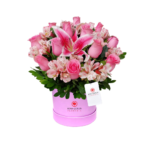 Box con 12 Rosas Rosadas