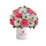 Box con Claveles y Margaritas