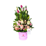 Box con 6 Tulipanes