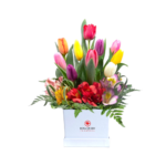 Box blanco con 10 Tulipanes de colores surtidos