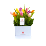 Box blanco con 10 Tulipanes de colores