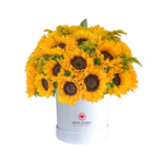 Box grande con 40 Girasoles y fino follaje