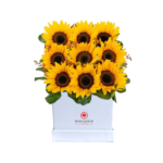 Box con 9 Girasoles y fino follaje