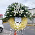 Corona Especial Media Luna